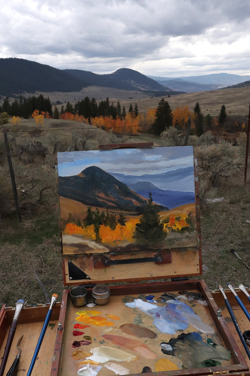 Autumn Colours Plein Air Painting Workshop (Field Guide included)