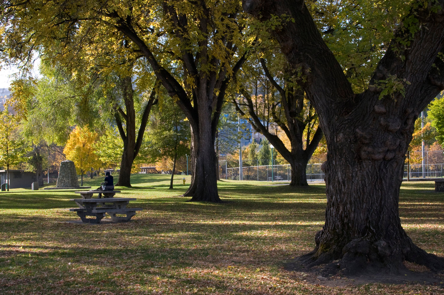 BAUMANN PLEIN AIR PAINTING WORKSHOP