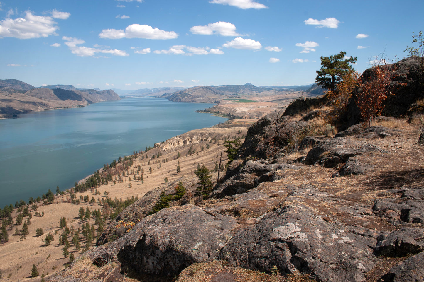 BAUMANN PLEIN AIR PAINTING WORKSHOP