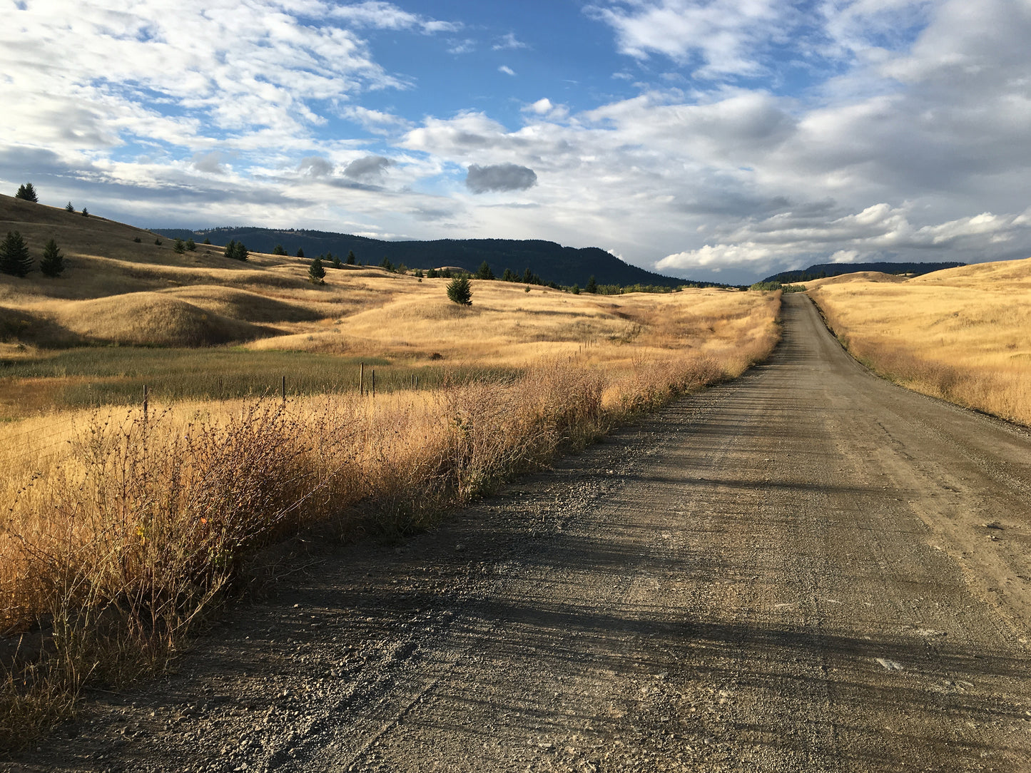 BAUMANN PLEIN AIR PAINTING WORKSHOP