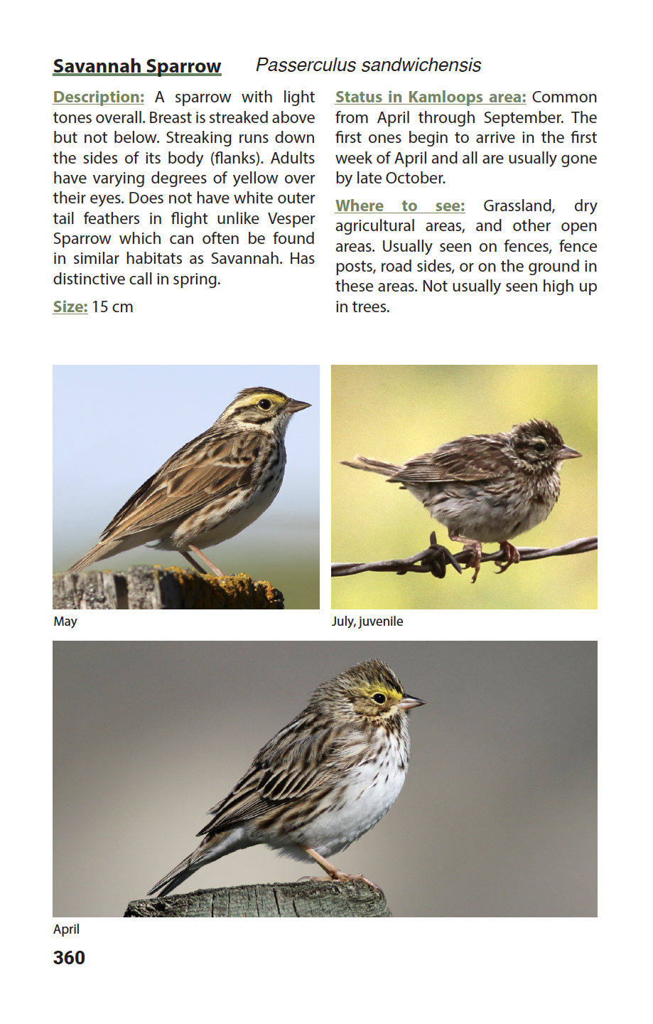 BIRDS of Kamloops and the Thompson-Nicola Regional District