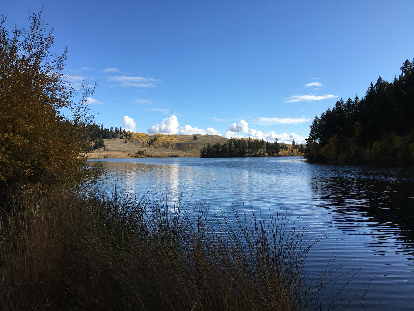 BAUMANN PLEIN AIR PAINTING WORKSHOP